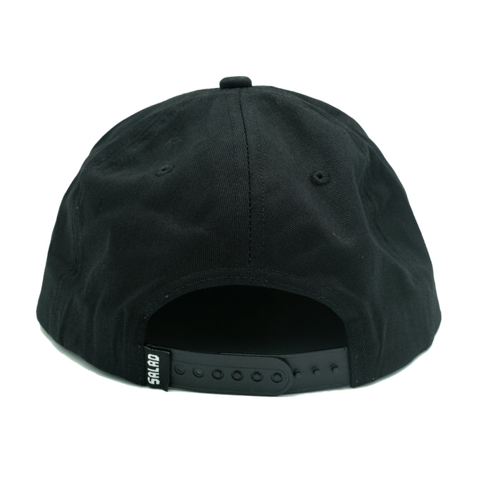 Salad Valley - Global Flat Earth Cap (Black)