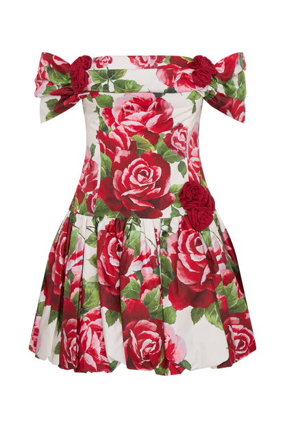 Giovanna Off Shoulder Mini Dress - Sonia Rose Print