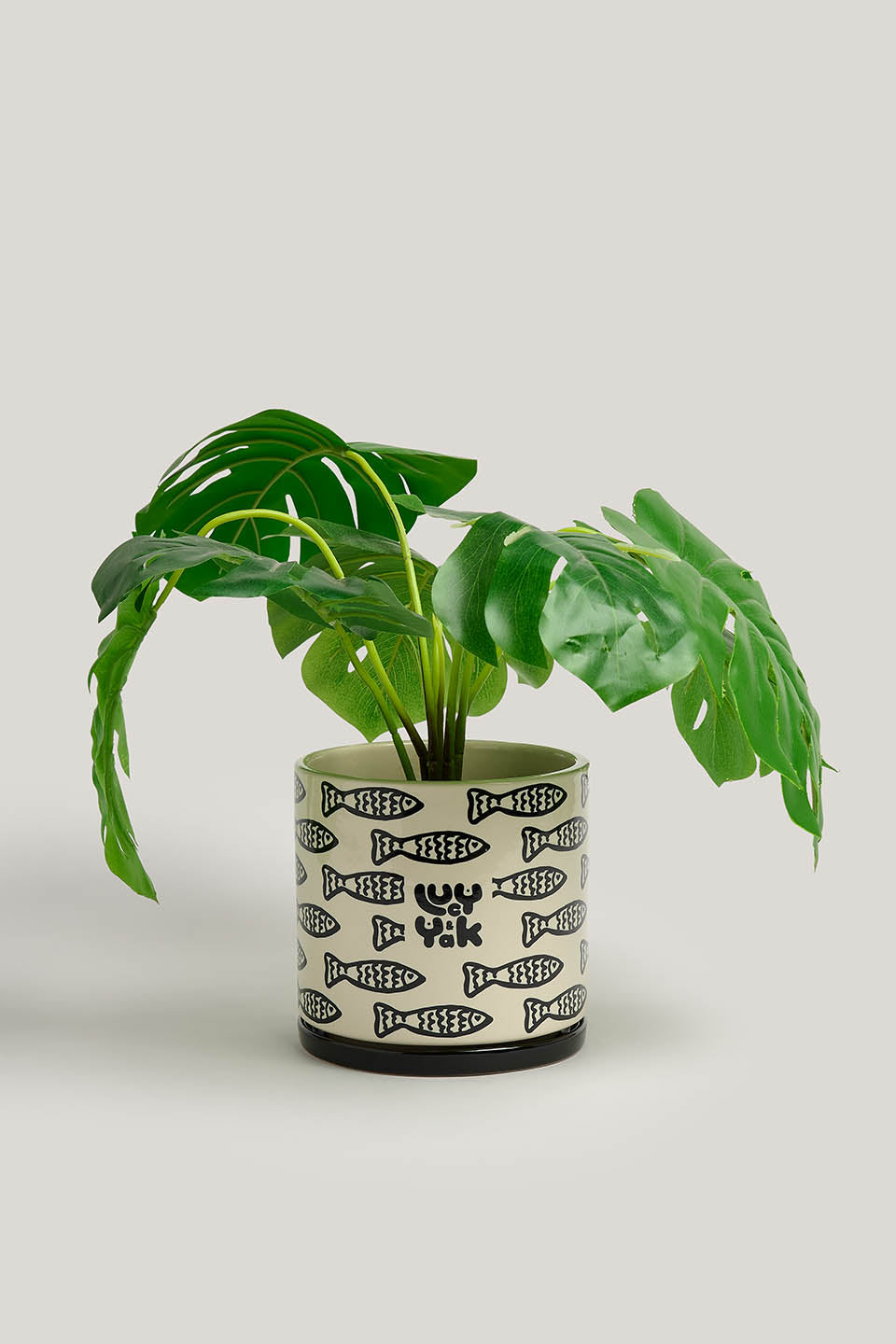 Fern - Plant Pot in Black & White Minnow