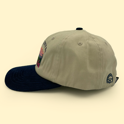 [ asheville city sc ] blue ridge mountains - Official League
