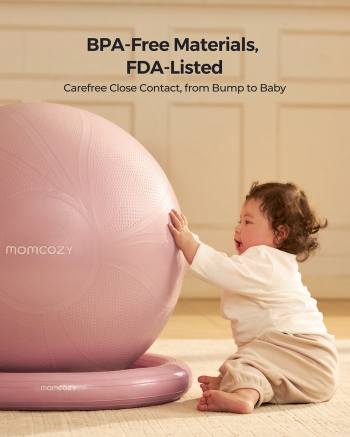 BirthEase Pregnancy Ball & Postpartum Recovery Essentials Kit