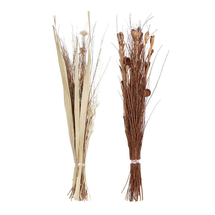 BROWN DRIED PLANT FOLIAGE NATURAL FOLIAGE