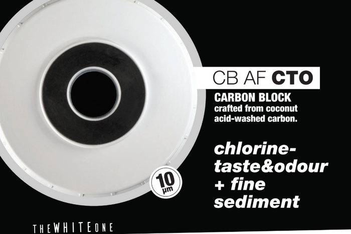 Cartucho de carbon en bloque 4.5" x 20" - 10 Micras
