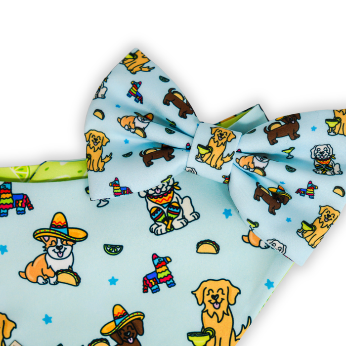 Cinco de Mayo Pups - Bandana (Reversible)