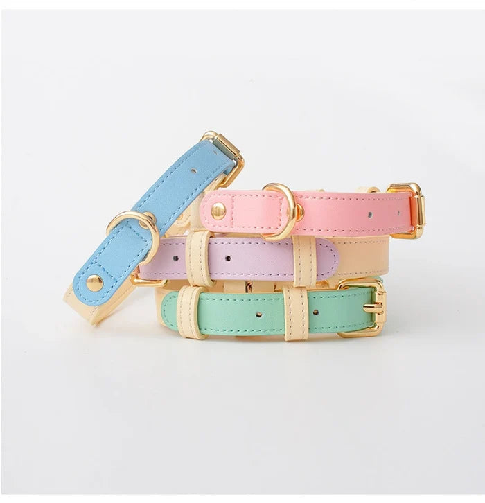 Colorful Leather Dog Collar