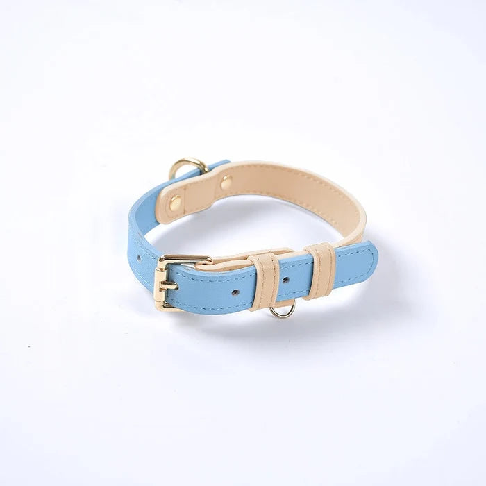 Colorful Leather Dog Collar