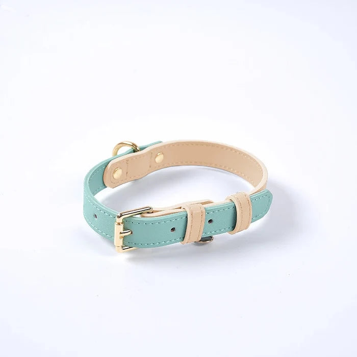 Colorful Leather Dog Collar