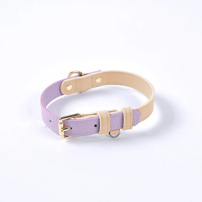 Colorful Leather Dog Collar