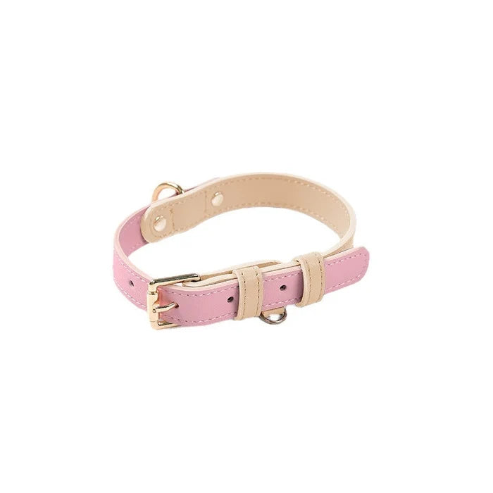 Colorful Leather Dog Collar