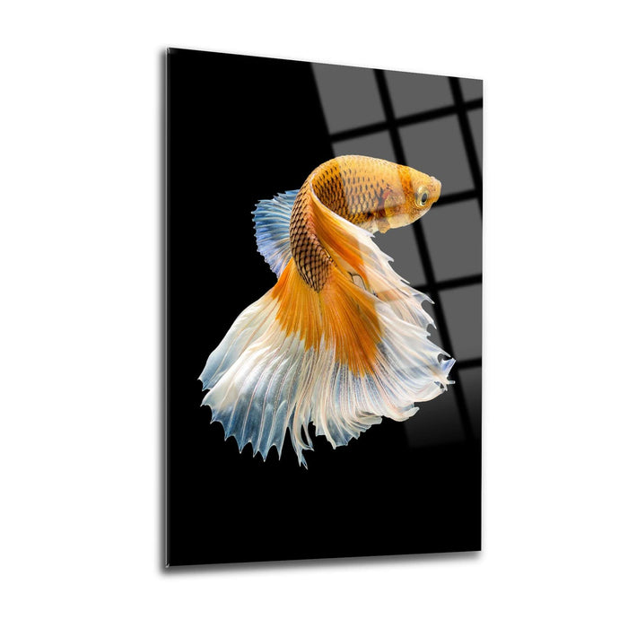 Fish Wall Decor - Artwork available at Dekadron for $99.90