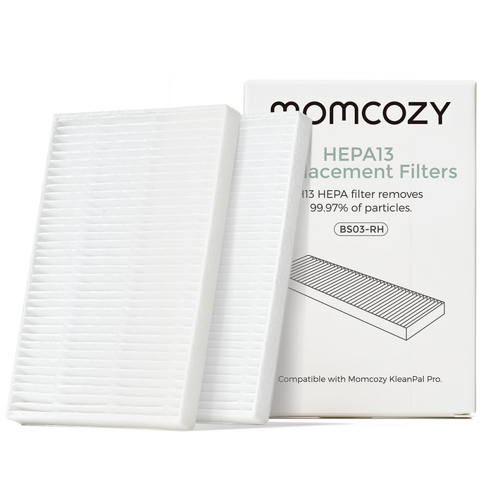 CA / Air Filter - 2 Pack