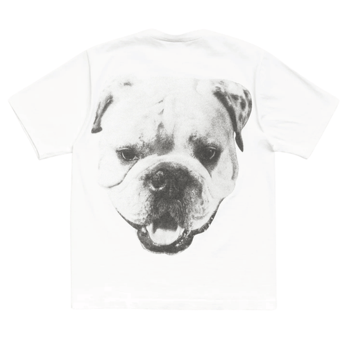 Koszulka Stussy Big Dog Washed Tee White STUSSY Koszulki