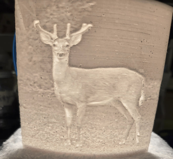 Lithophane Young Buck