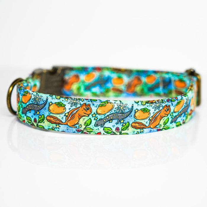 Midwest Nature Dog Collar