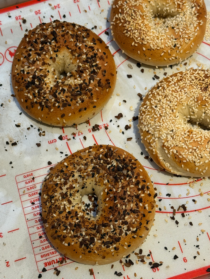 New York Bagel Workshop