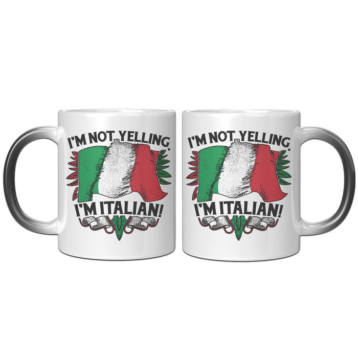 Not Yelling Italian Color Changing Mug