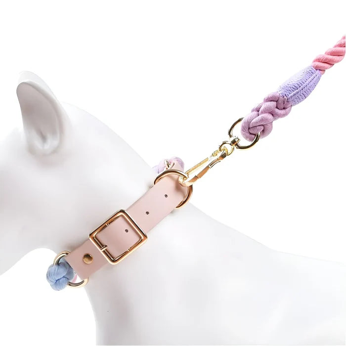 Pastel Rainbow - Dog Collar and Leash (Sold Separately)