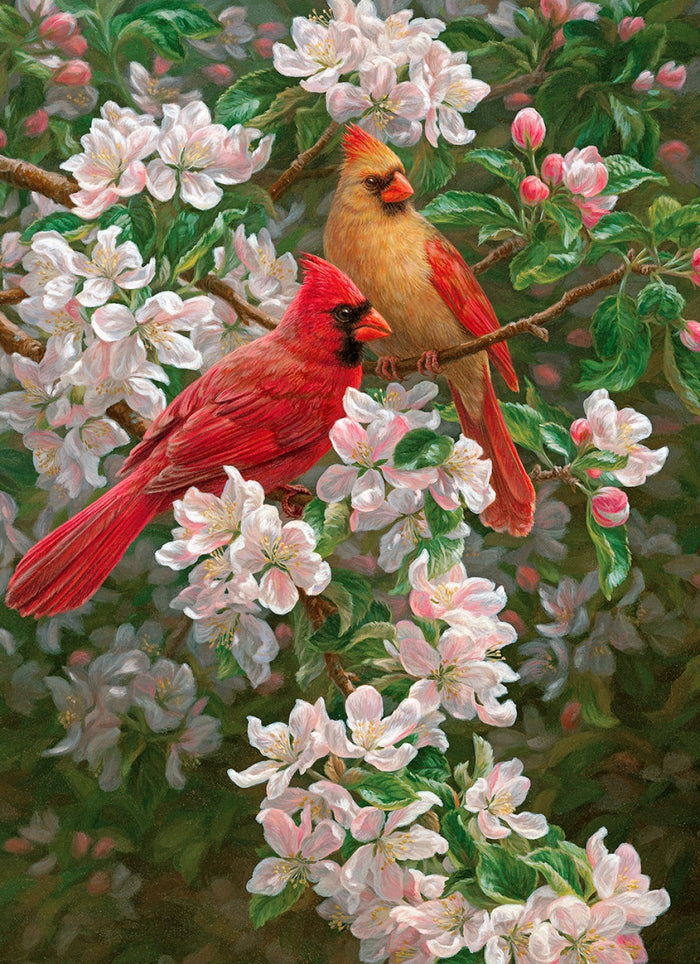 Spring Romance