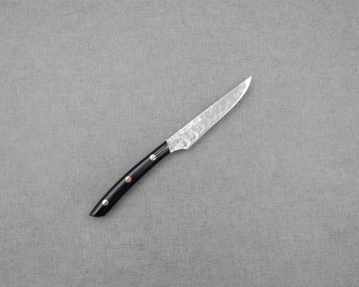 Takeshi Saji R2/SG2 Diamond Damascus 125mm Steak Knife with Micatra Handle