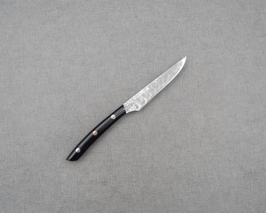 Takeshi Saji R2/SG2 Diamond Damascus 125mm Steak Knife with Micatra Handle