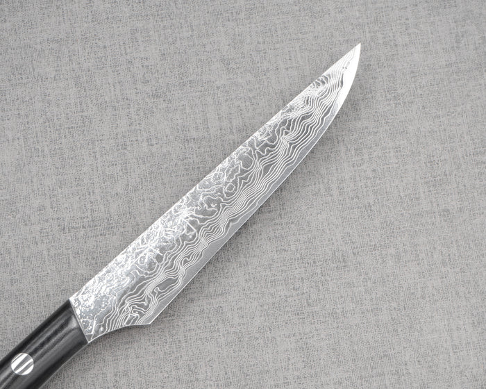 Takeshi Saji R2/SG2 Diamond Damascus 125mm Steak Knife with Micatra Handle