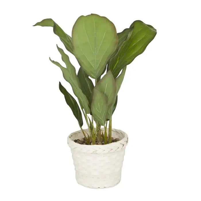 White Plastic Coastal Dieffenbachia Artificial Plant