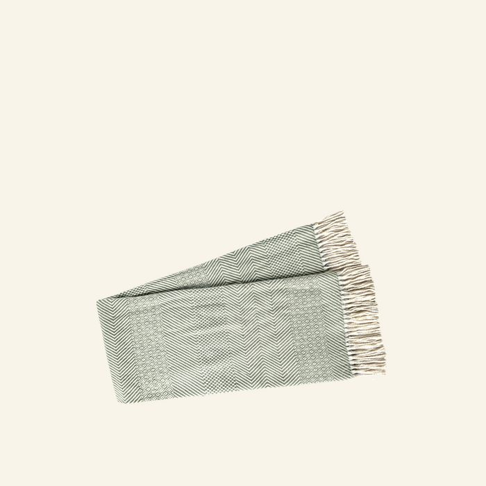 A green woven throw blanket with a checkered pattern and fringe detailing.